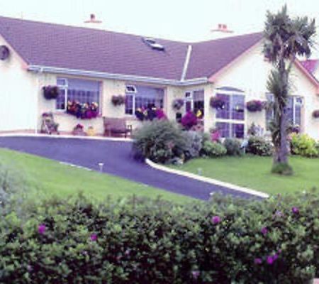 The Yellow Rose B&B Belderg Eksteriør billede